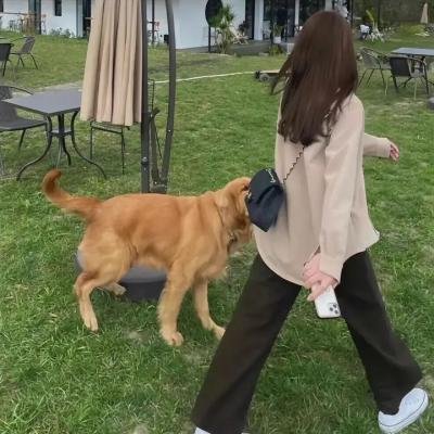 人生是一场抗争